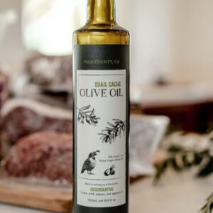 Olive Oil